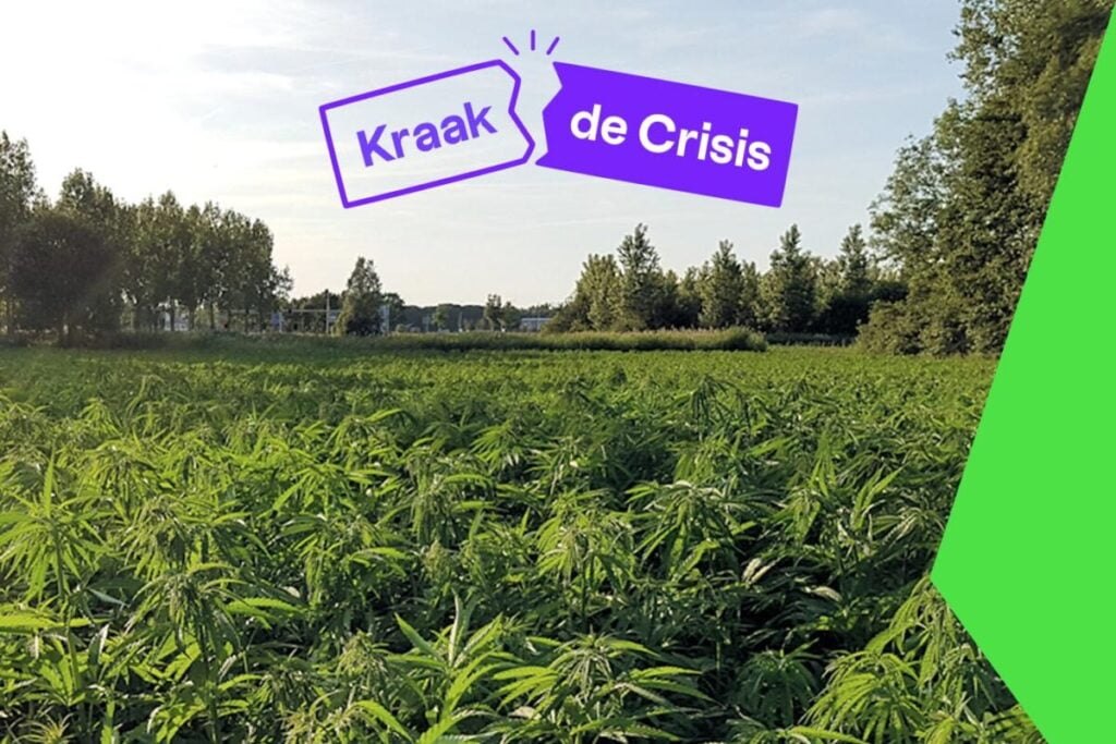 Kraak de Crisis – hennepveld voor een veerkrachtige economie