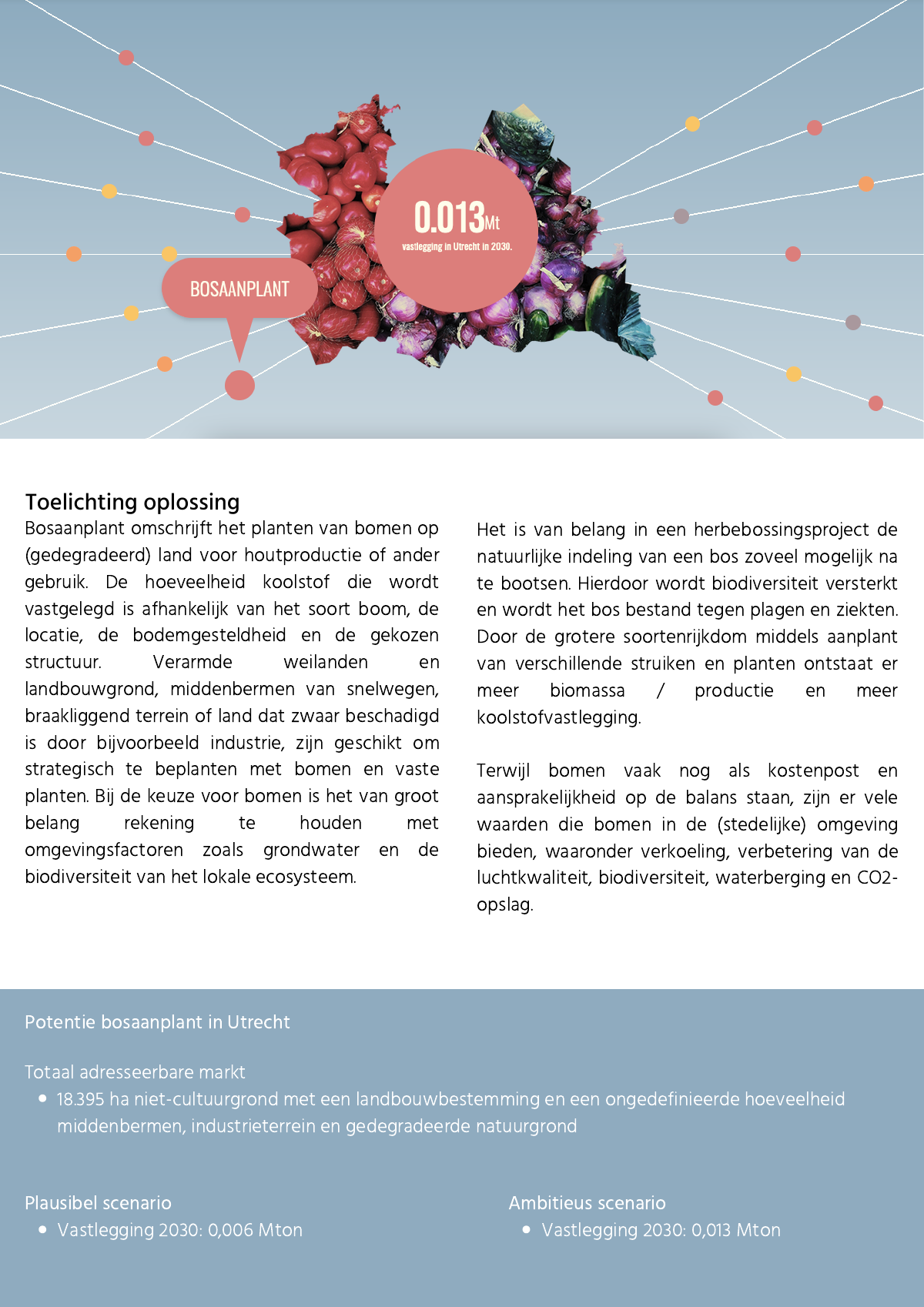 Factsheet cover — Afforestation
