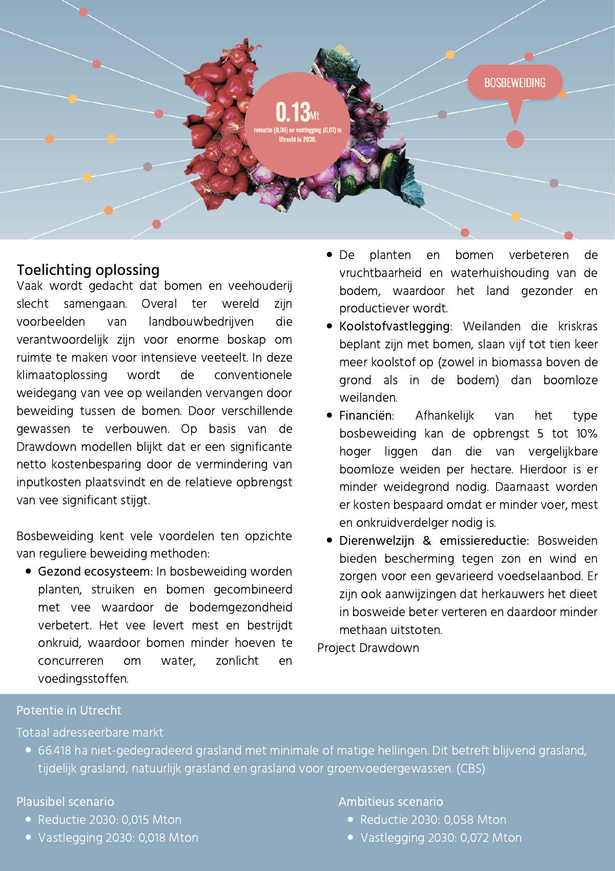 Factsheet cover — Silvopasture